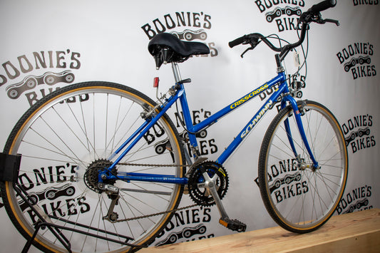 BOONIE'S REFURBISHED Schwinn Crisscross