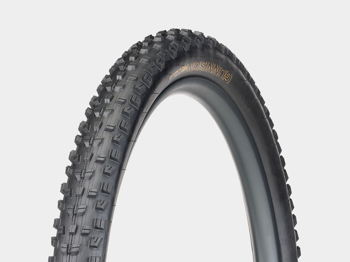 Bontrager Gunnison Pro XR Black 29 x 2.6