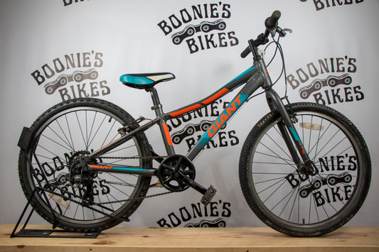 BOONIE'S REFURBISHED Giant XTC Jr.