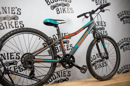 BOONIE'S REFURBISHED Giant XTC Jr.