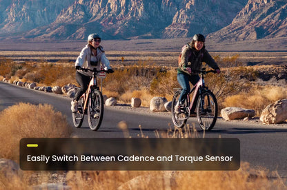 Aventon Level 3 Step-Through